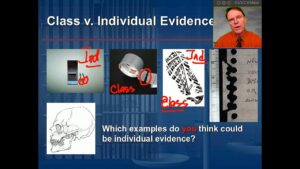 Cew Example Evidence Example Examples of Class Evidence in Forensic Investigations