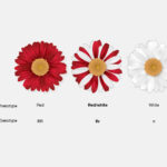 examples of codominance in genetics explained
