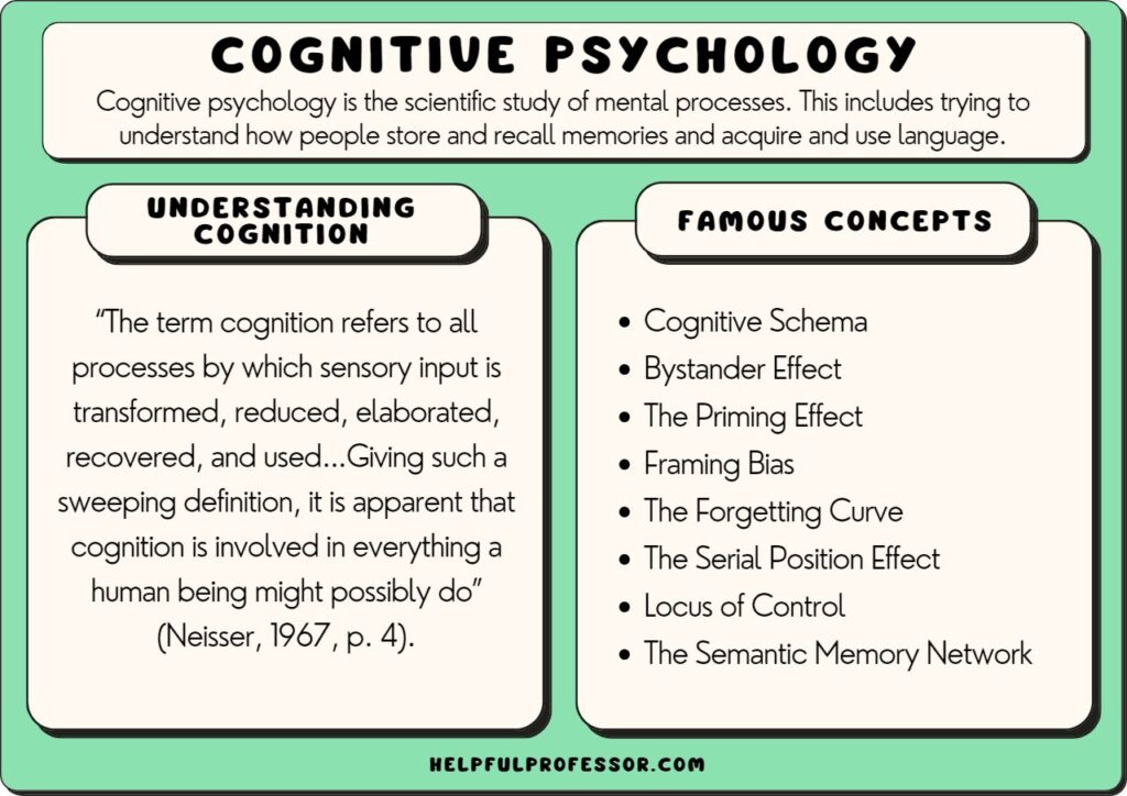Examples of Cognitive Neuroscience in Everyday Life