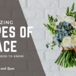 examples of common grace in everyday life and nature