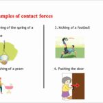 examples of contact forces in everyday life