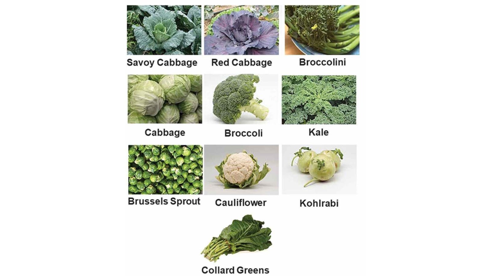 examples of cruciferous vegetables for your diet