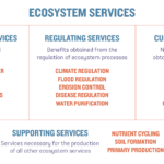 examples of cultural ecosystem services and their impact