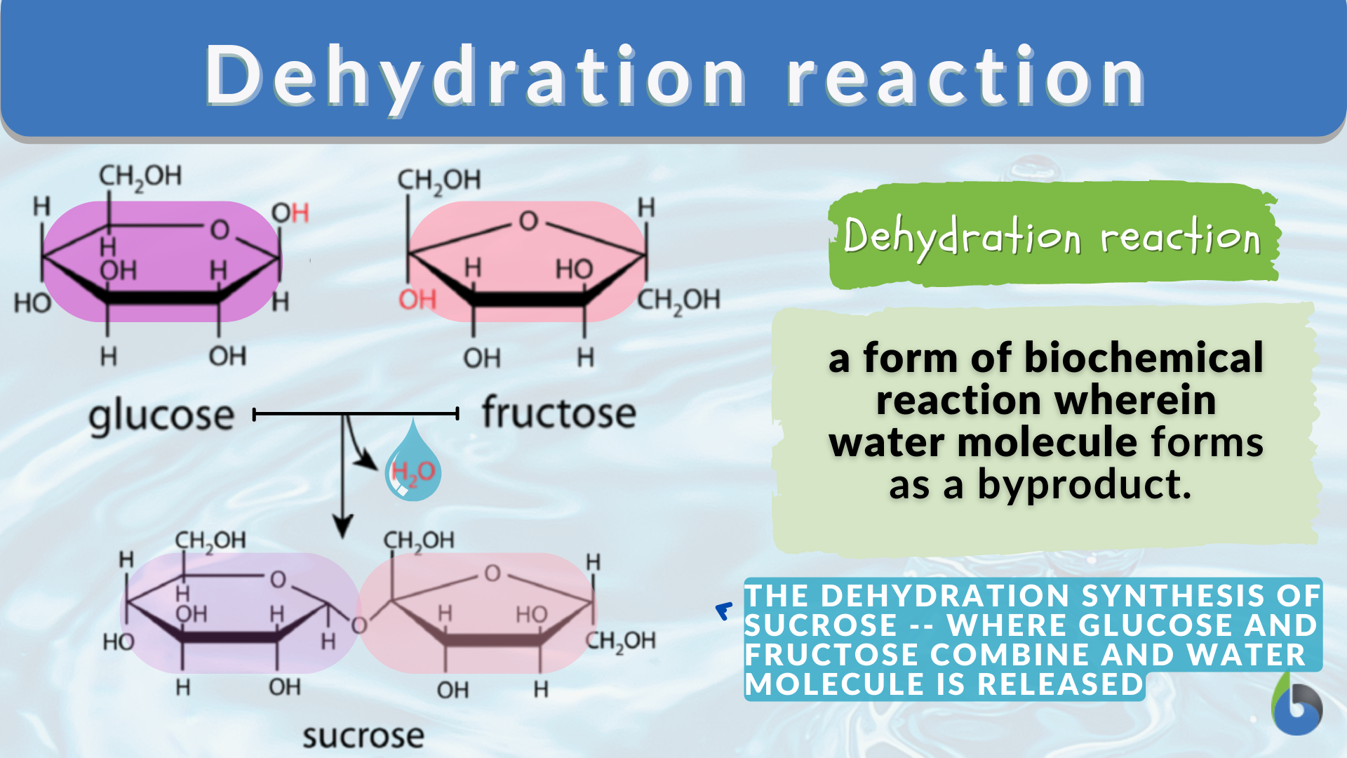 examples of dehydration synthesis in biology and industry