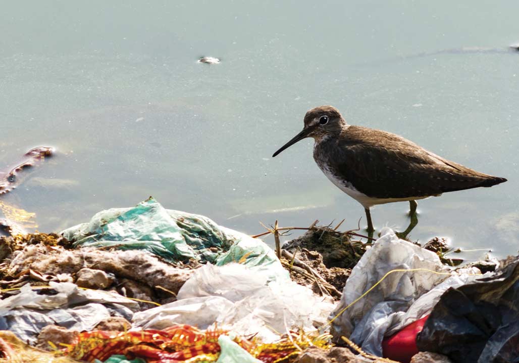 examples of discarded plastic rubber glass and styrofoam waste