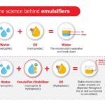 examples of emulsifiers in food and beyond
