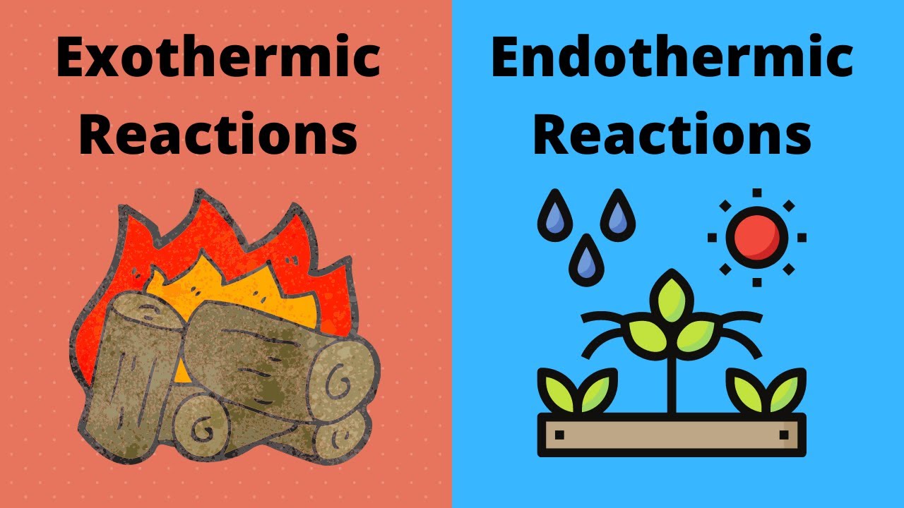 examples of endothermic and exothermic reactions