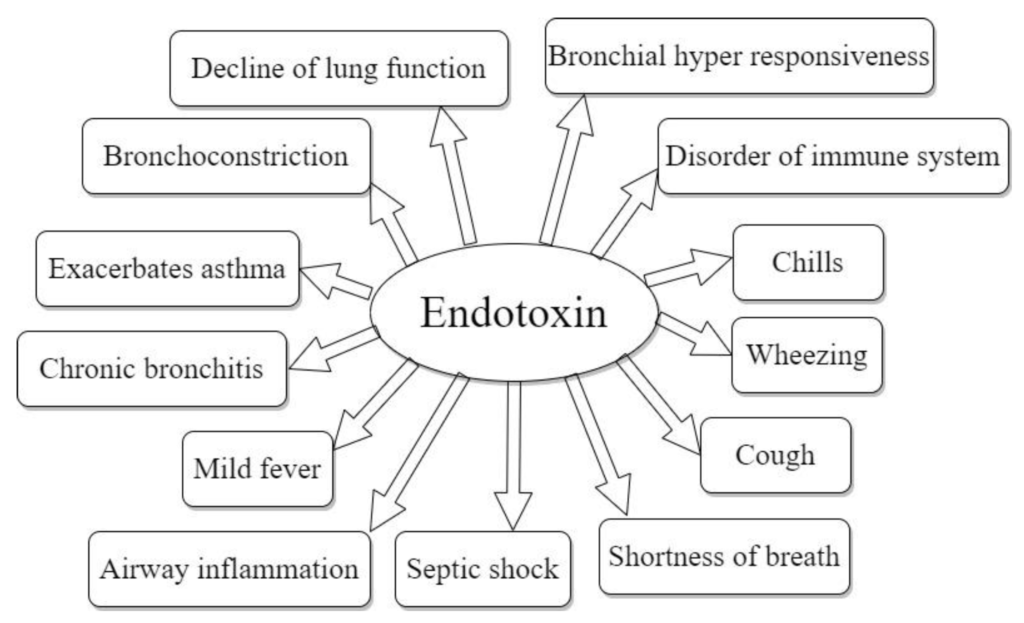 examples of endotoxins and their health risks