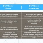 examples of entity and attribute in data management