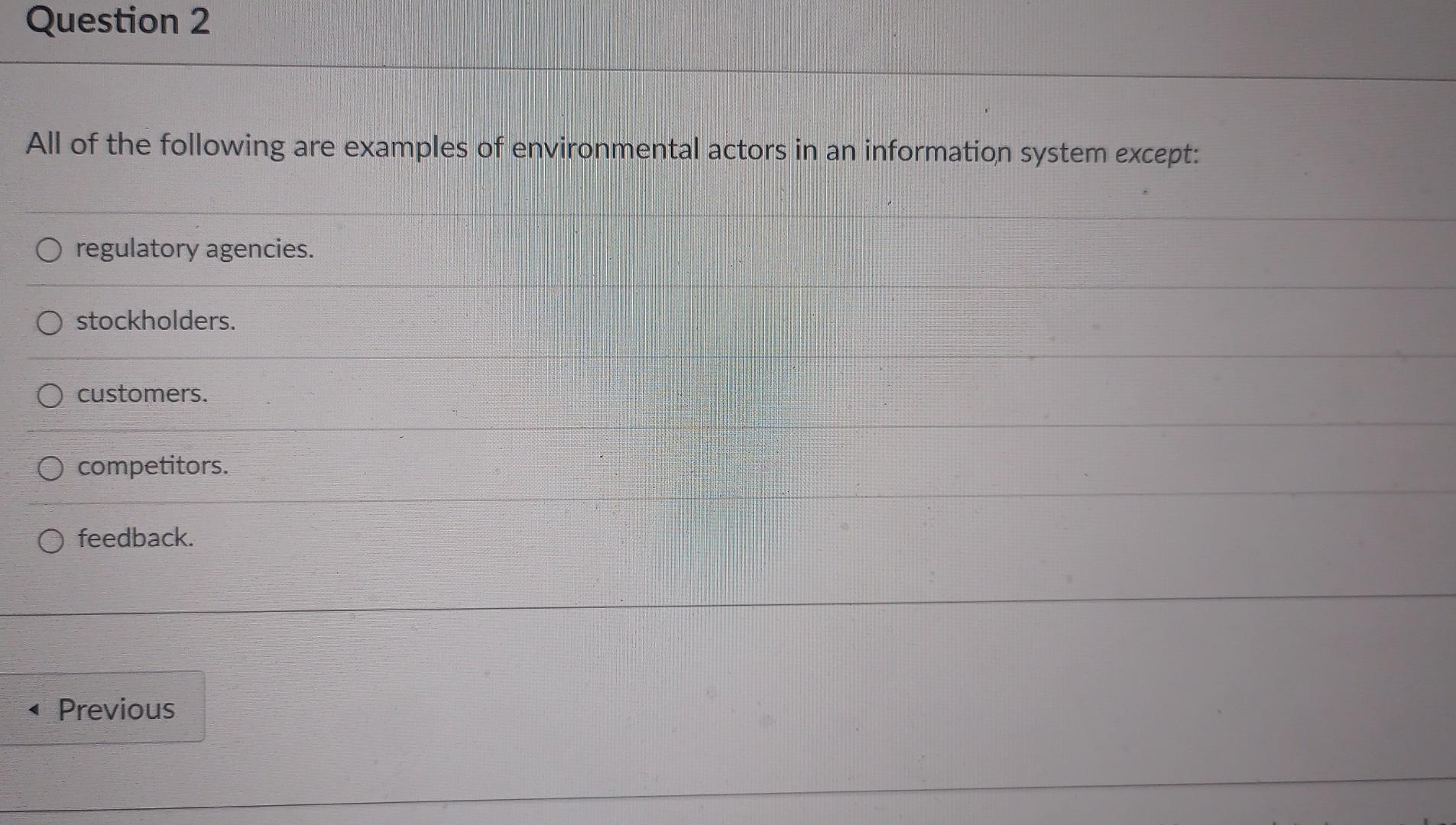 examples of environmental actors in information systems