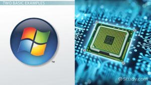 Examples of Essential Computer Programs in Everyday Life