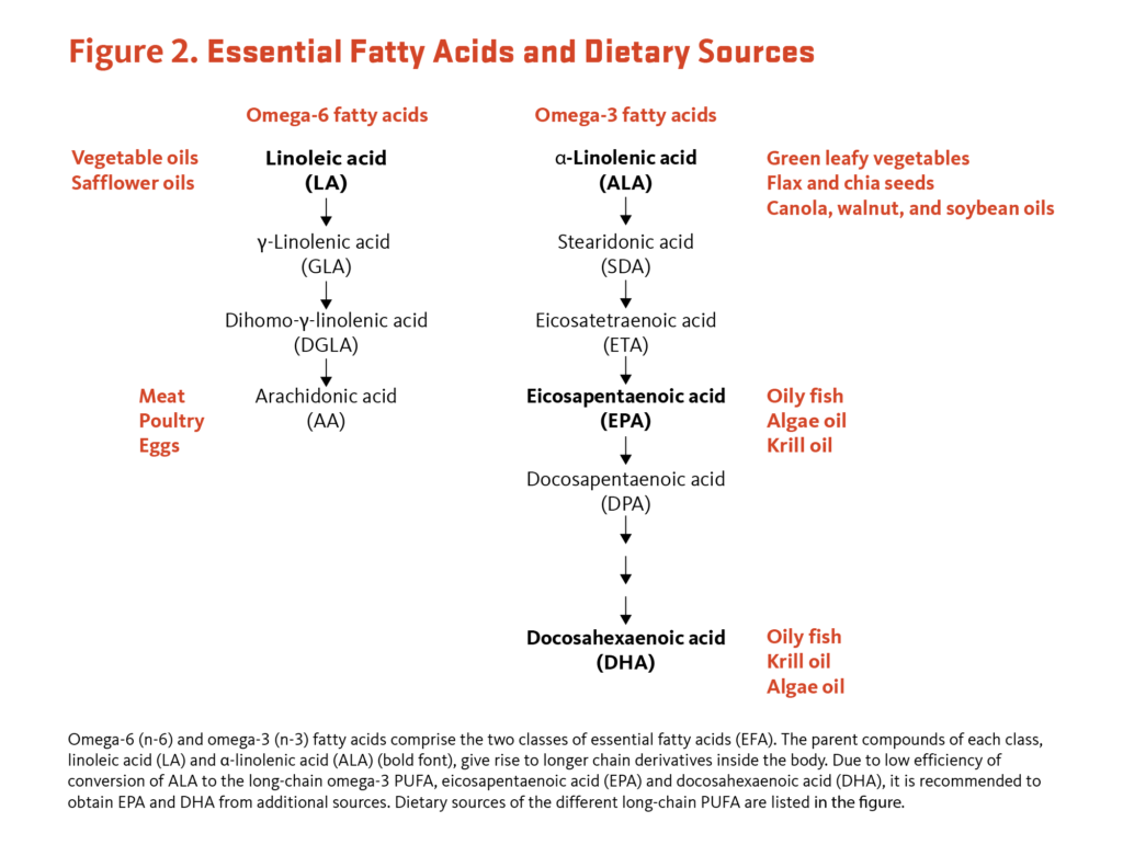 WHAT ARE FATTY ACIDS GOOD FOR intelligence overview