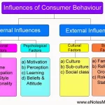 Examples of External Influences on Decisions and Behavior examples of external influences on decisions and behavior