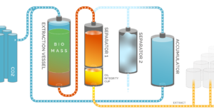 Examples of Extraction Processes Across Industries