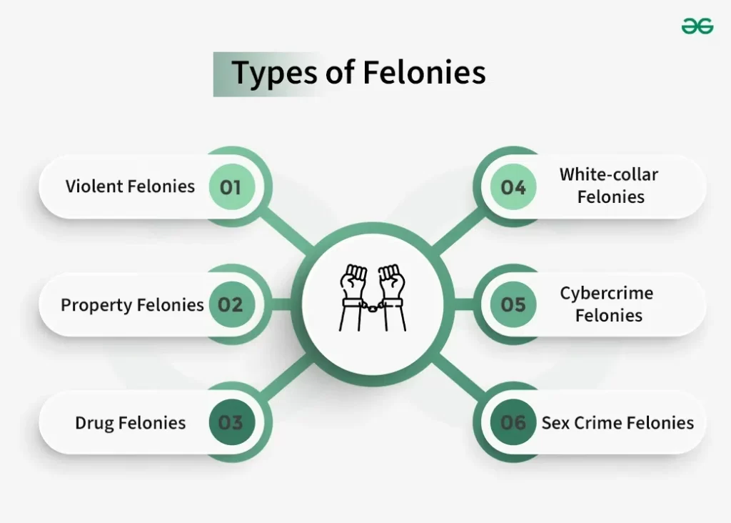 examples of felonies understanding serious crimes