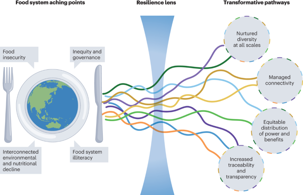 examples of food security solutions worldwide