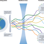examples of food security solutions worldwide