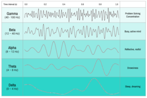 Examples of Frequency in Music, Nature, and Health