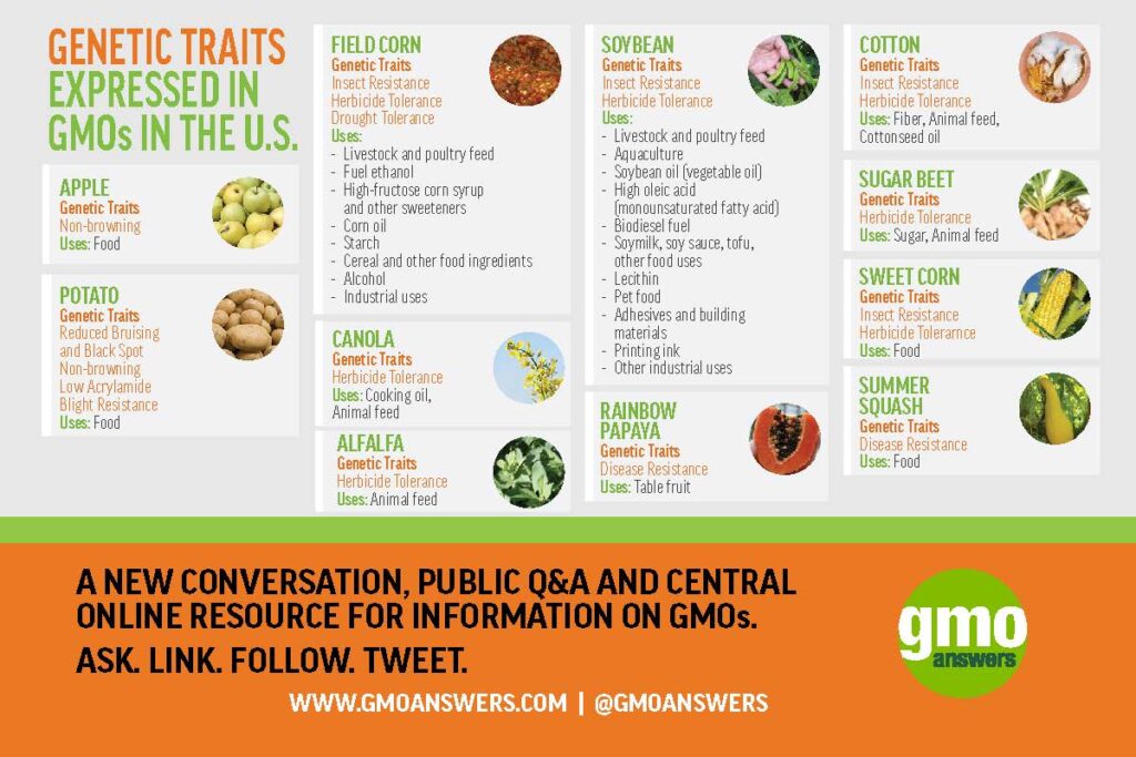 examples of gmo foods and their benefits
