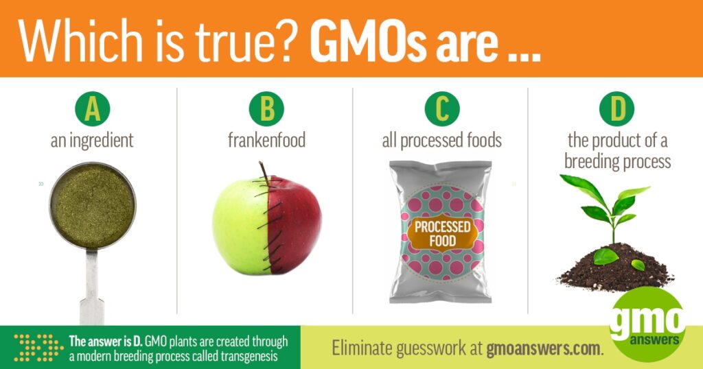examples of gmos and their impact on agriculture