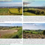 examples of green belt land and their urban impact