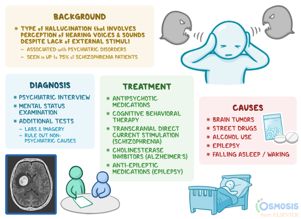 examples of hallucinations in schizophrenia