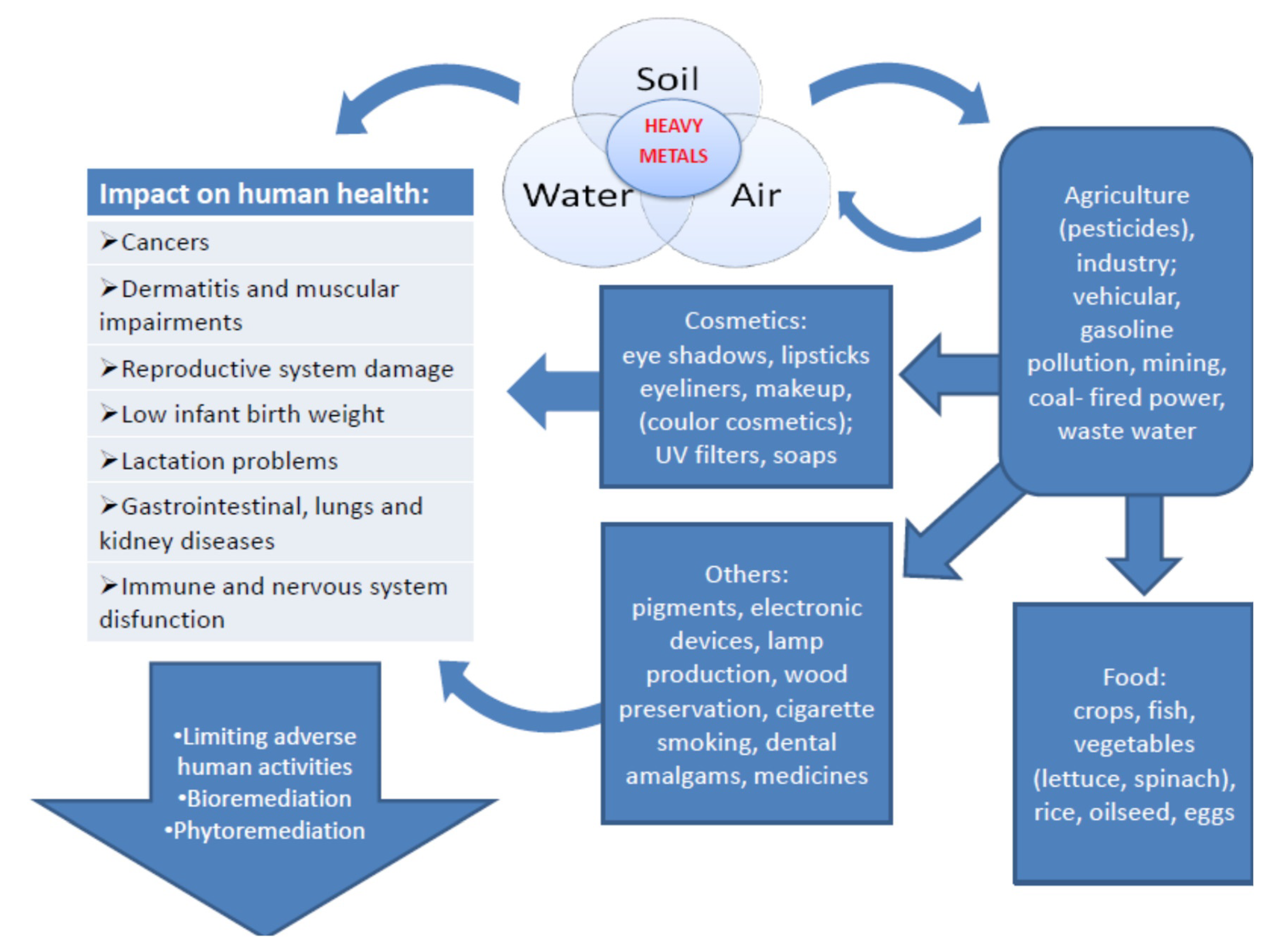 examples of heavy metals and their health risks