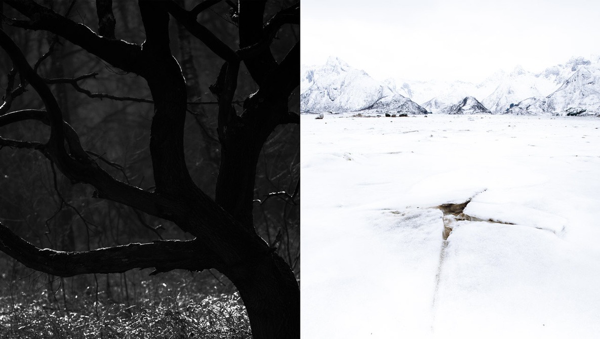 examples of high key vs low key lighting in photography