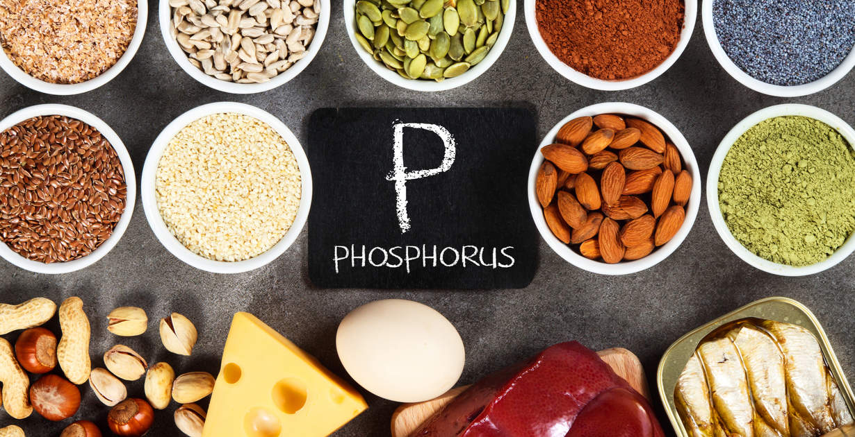 examples of high phosphorus foods for better health