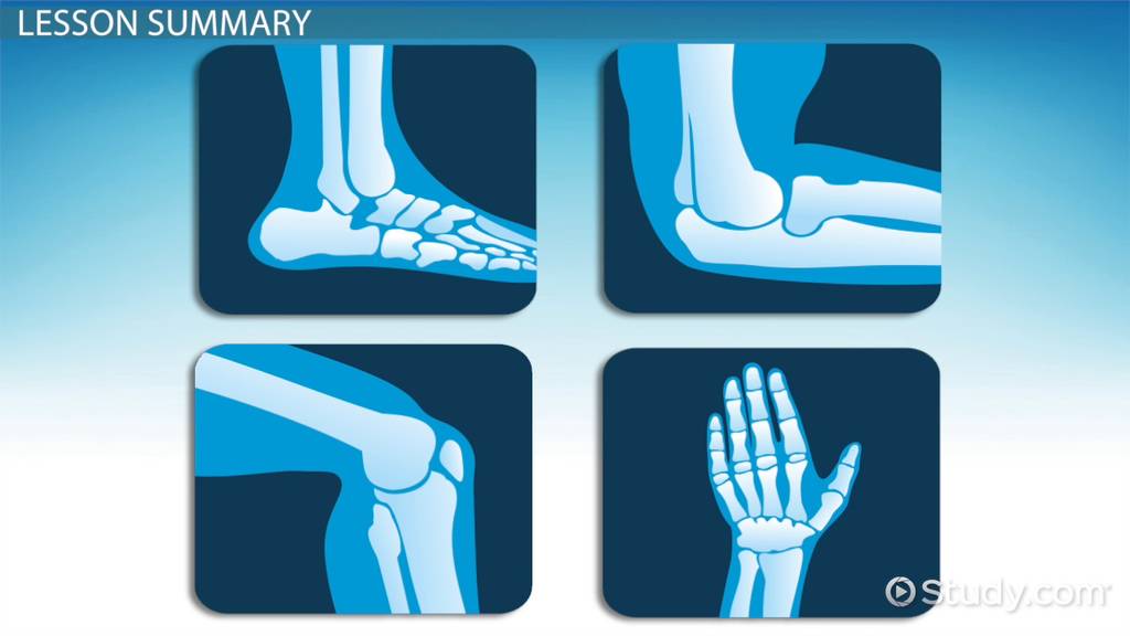 examples of hinge joints in human anatomy