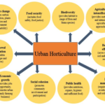 Examples of Horticulture for Sustainable Living examples of horticulture for sustainable living