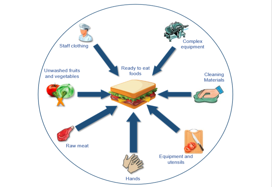 examples of how cross contamination occurs when preparing food
