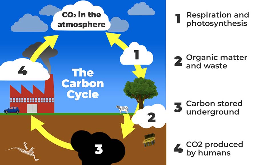 examples of how do you make carbon dioxide in daily life