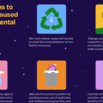 examples of how humans positively impact the environment