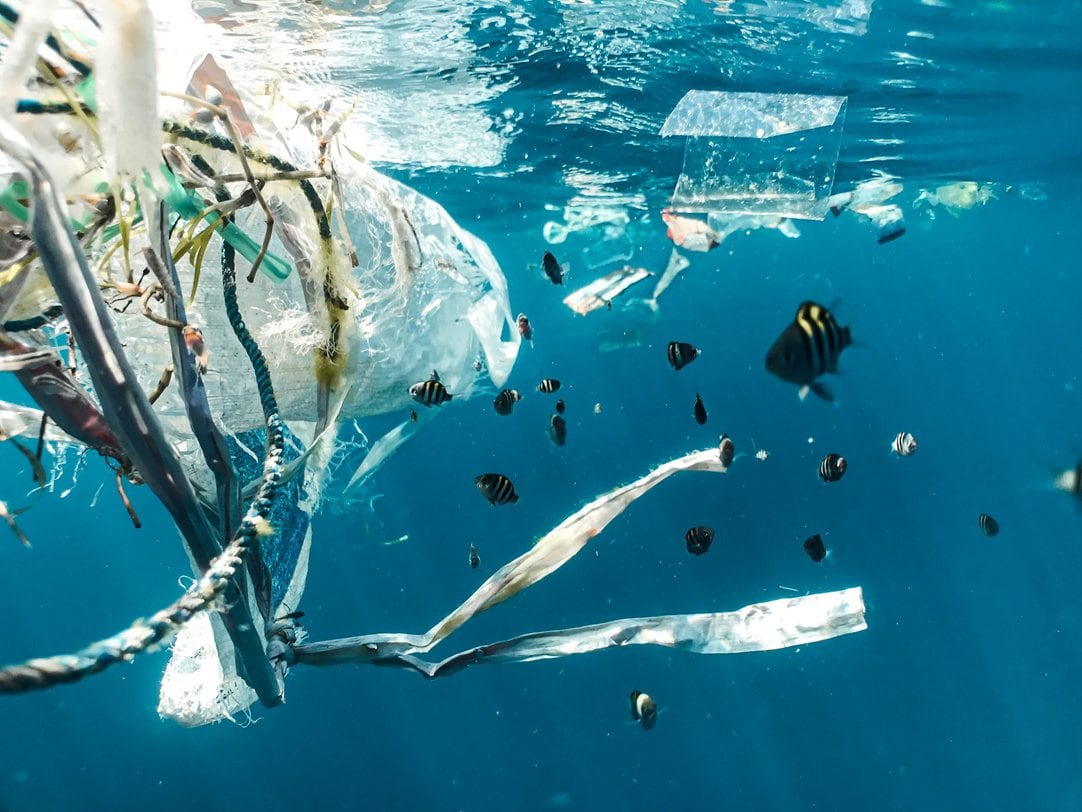 examples of how plastic affects the ocean today