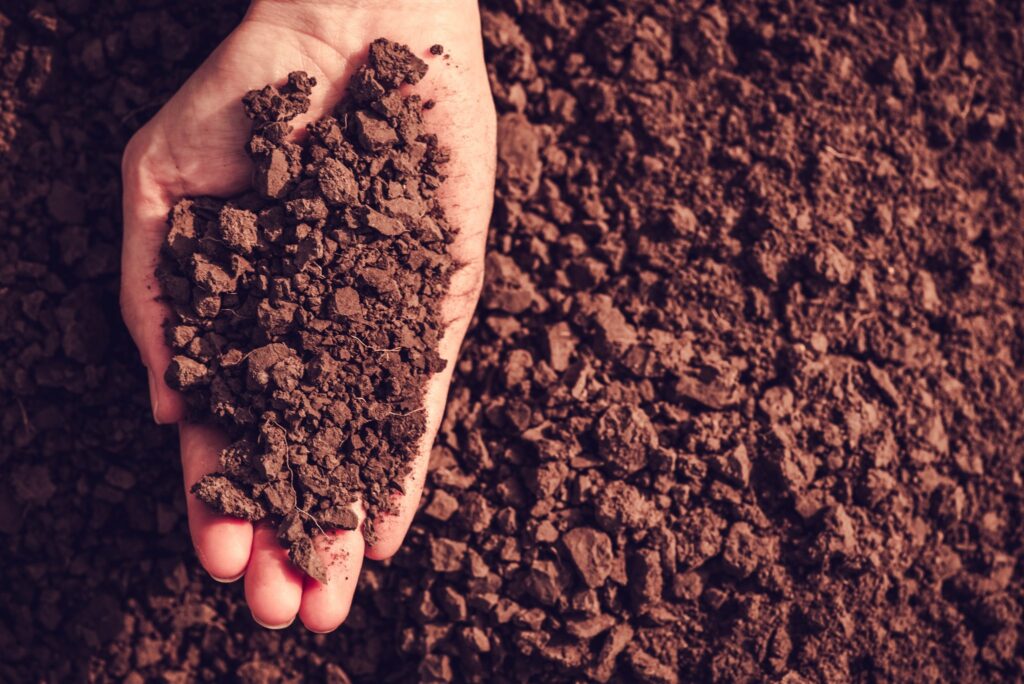 examples of how to conserve soil for everyone 1
