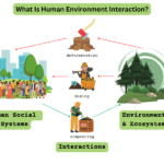 examples of human environment interaction