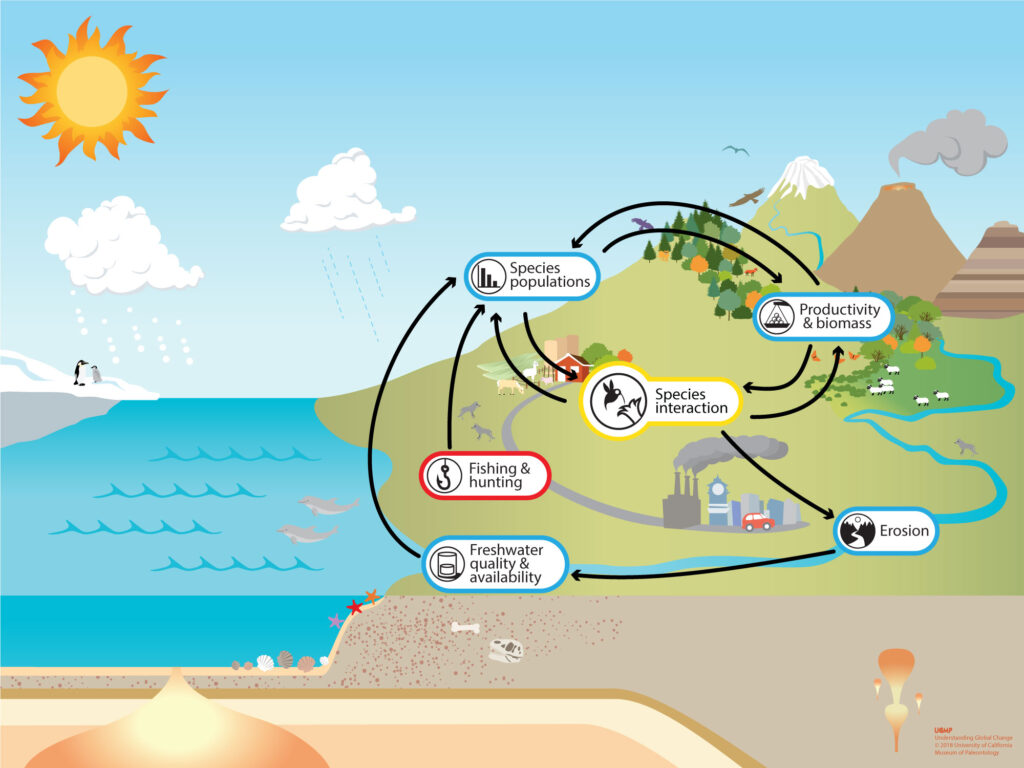examples of human environment interaction shaping our world