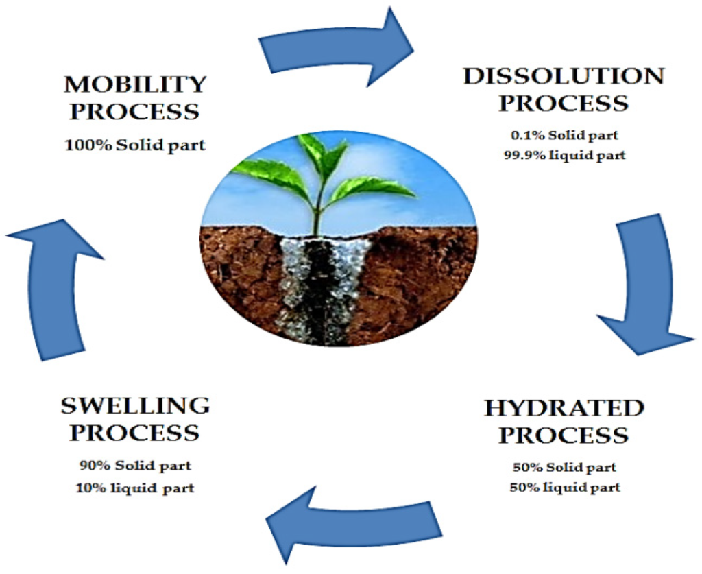 examples of hydrogels in medicine and agriculture
