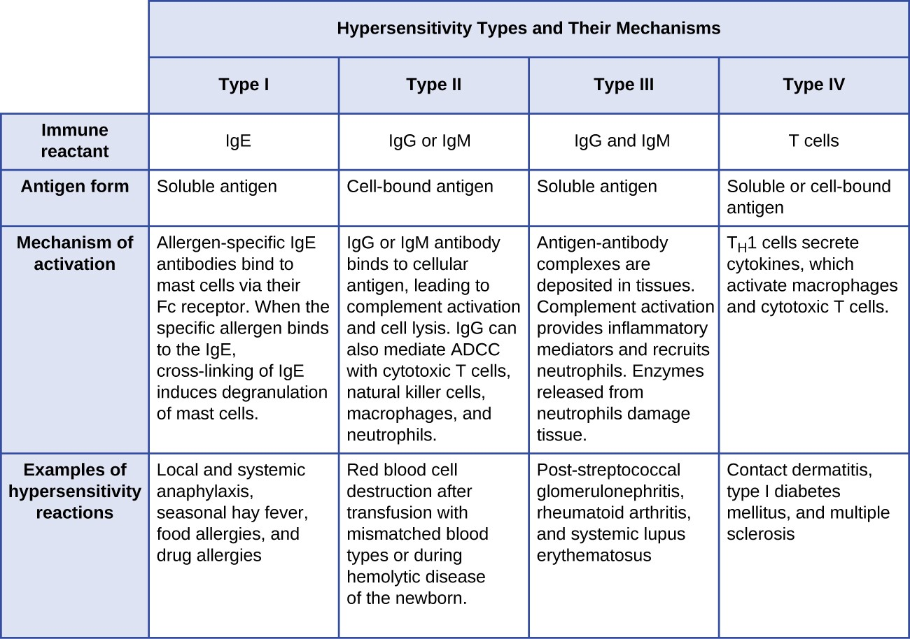 examples of hypersensitivity reactions and their impacts