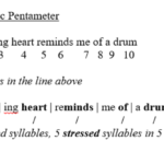 Examples of Iambic Meter in Poetry and Its Impact examples of iambic meter in poetry and its impact