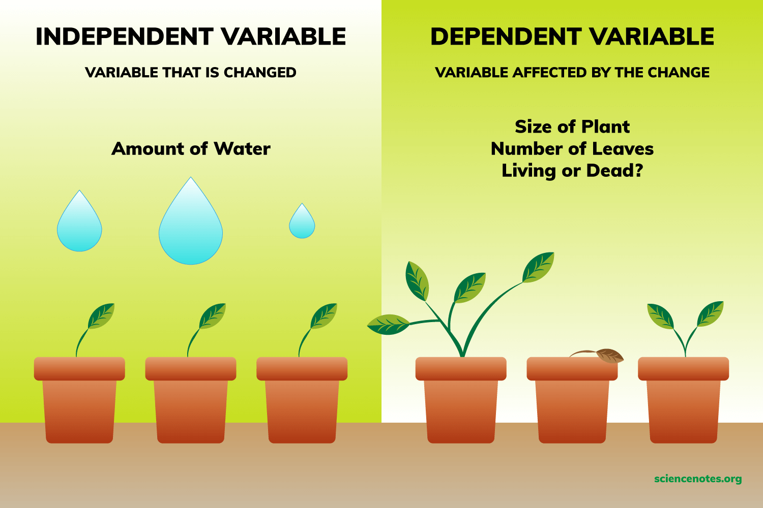 examples of independent variable in scientific research