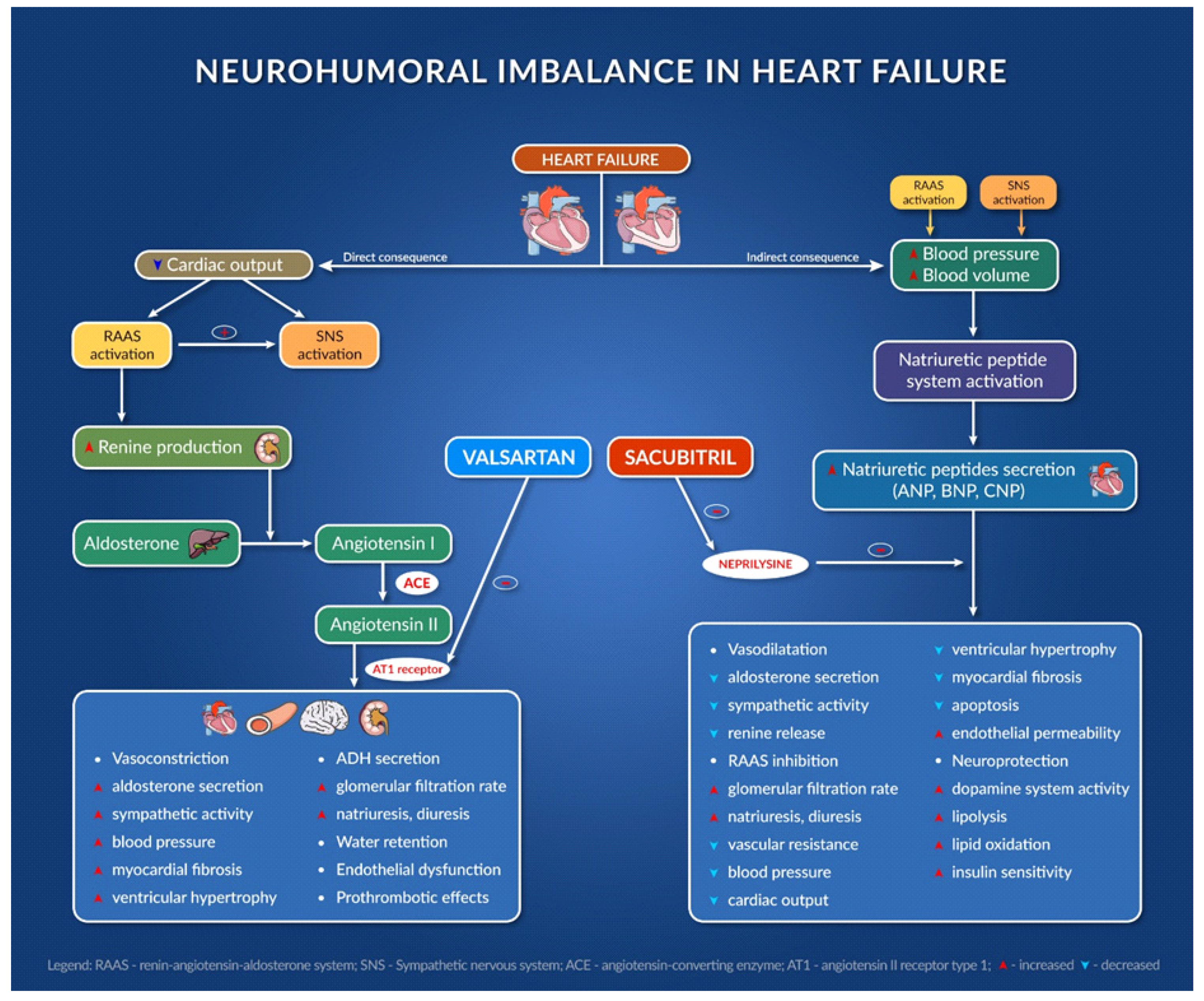 examples of inotropes and their role in heart failure treatment