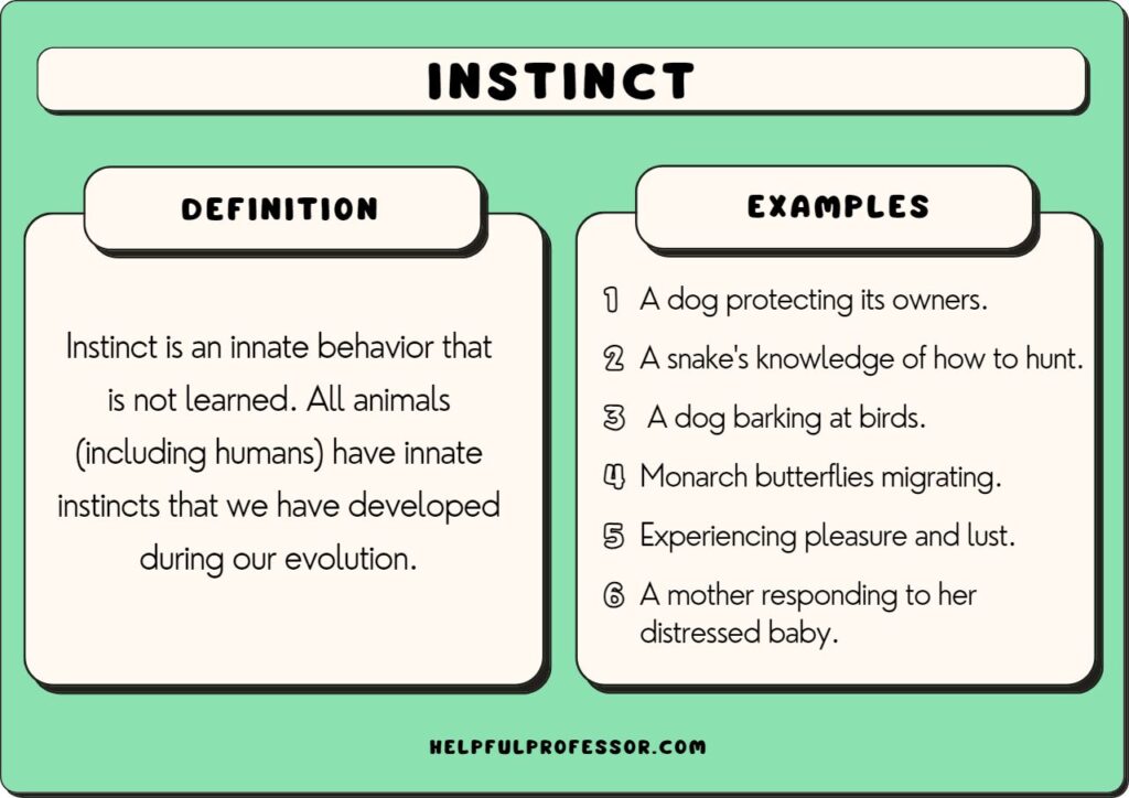 examples of instinct theory understanding innate behaviors