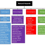 Examples of Internal Disasters and Their Impact examples of internal disasters and their impact
