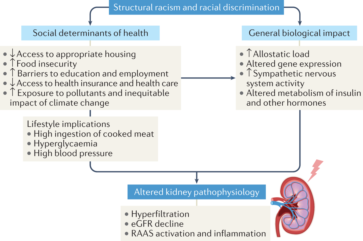 examples of intolerance based on race