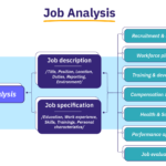 examples of job classification across various industries