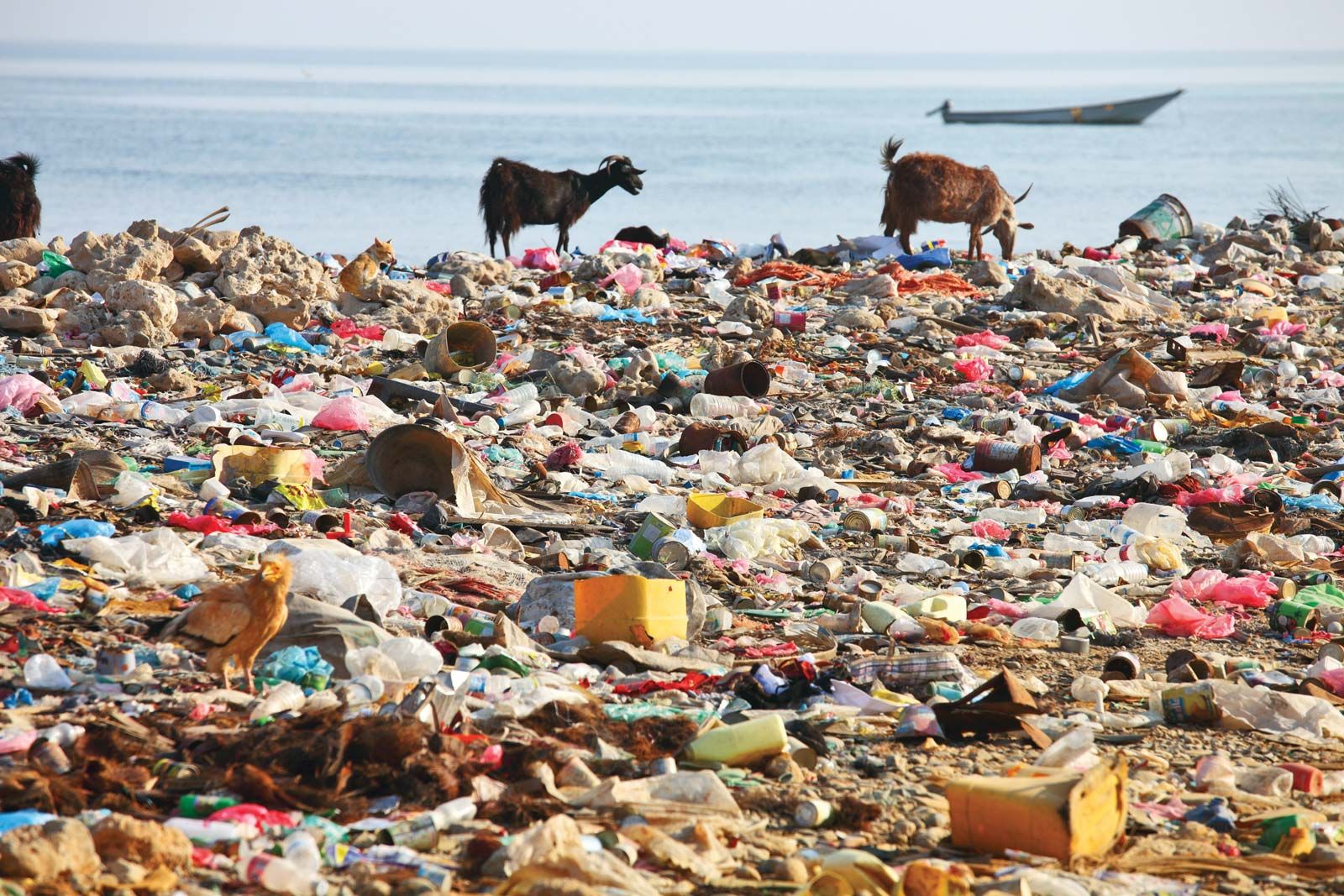 examples of land pollution impacting our environment