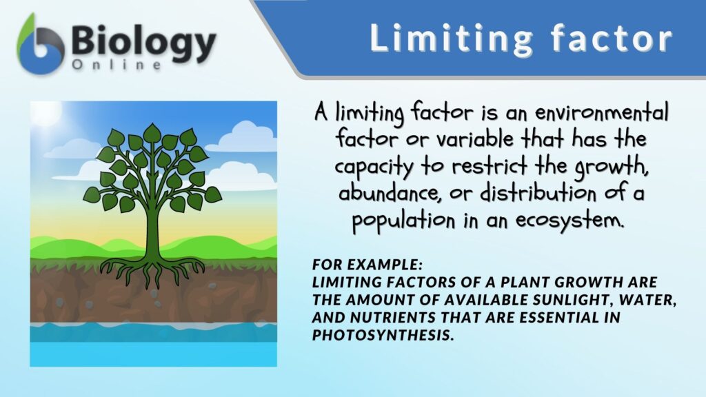 examples of limiting factors in ecosystems