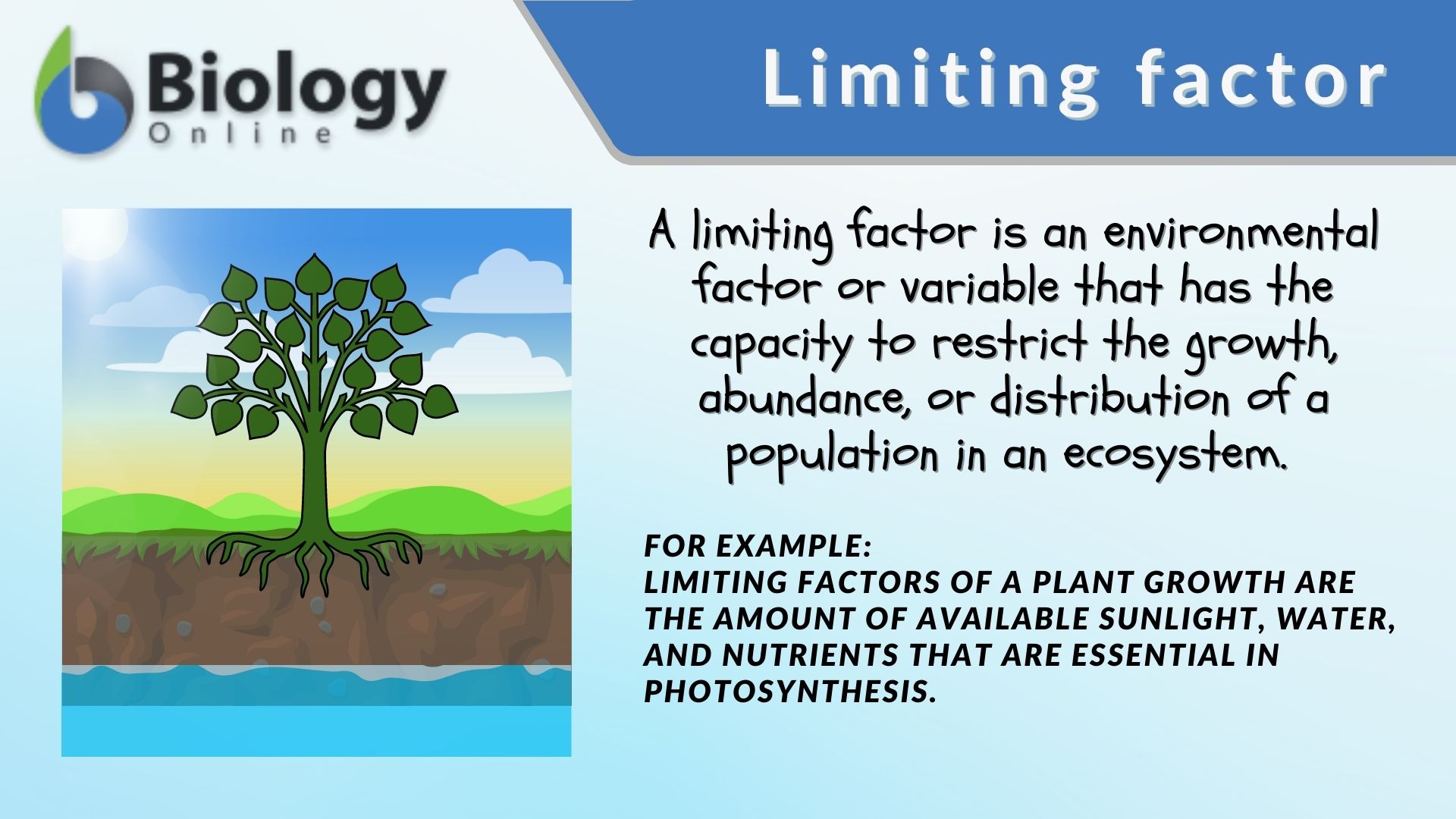 examples of limiting factors in ecosystems
